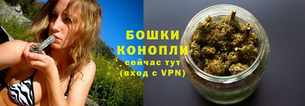 соль ск Верхний Тагил