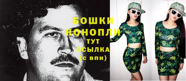 соль ск Верхний Тагил