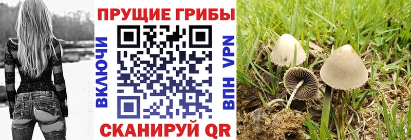 Галлюциногенные грибы GOLDEN TEACHER  Кострома 